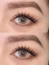 New【太陽花ボリュームラッシュ100束】