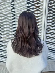 【ご新規様限定】🤍🪻カット➕カラー➕艶トリートメント🪻🤍