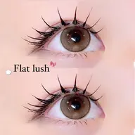 【コーティング剤プレゼント🎁🌟】フラットラッシュ100本orバインドロック60束➕コーティング剤♡