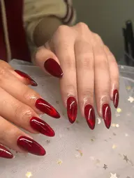 チップマクネット