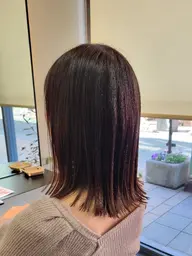 レディースカット ※シャンプー&ブロー込み