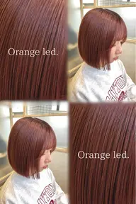 【平日限定】🫧ワンカラー&1stepトリートメント🫧🦋