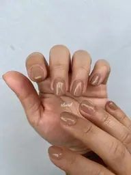 ワンカラー（オフあり）マグネット込み