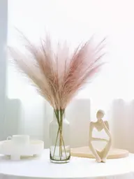 カウンセリングはこちらから