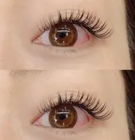 【バインドロック】【ボリューム向き】​〜​100束まで