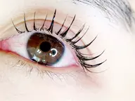 フラットラッシュ120本