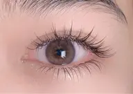 【中華ナチュラルワンホン】フラットラッシュ120本