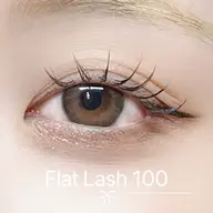 フラットラッシュ100