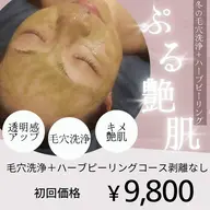 自分史上最高ツヤ肌【人気No1★韓国肌管理】毛穴洗浄+ohlハーブピーリング剥離なし