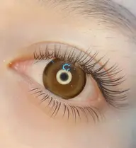 ☄️目元濃密☄️フラットラッシュ【上】140本+下まつげ20本サービス