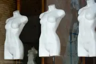 🦴【骨格診断＋骨格ダイエットアドバイス】1h　※私物チェック可能•ダイエットアドバイス資料付き