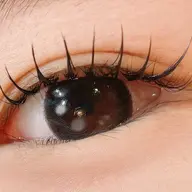 LEDエクステ つけ放題 (オフなし) アイシャンプー