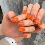 ●シンプルカラーコース　オフあり