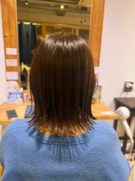 【 ボブ限定】カットモデル募集中💇🏻‍♀️ ✨