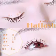 フラットプラス40束