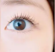 フラットラッシュ 120本