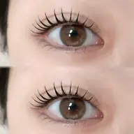 【平日予約限定‼️】マスカラパーマ⭐️ブラックティント使用🐈‍⬛🩶