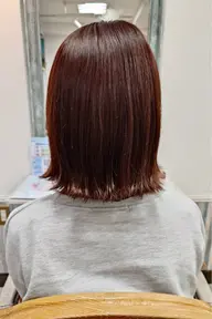 ヘアカラー(※ダブルカラー、ハイライト、ローライト、特殊カラー不可)