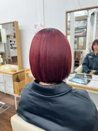 ◇ご新規様限定◇ワンカラー🩷