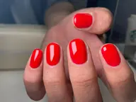 ※Hand※ワンカラー、グラデーション(白以外)••••••¥4500