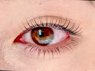 ★パリジェンヌラッシュリフト上下 ¥8700