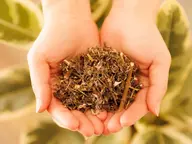 【平日限定】よもぎ蒸し30分コース/ハーブティ&ミネラルウォーター付