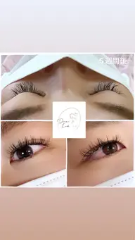 岐阜初‼️ダイアナラッシュ✨80束✨