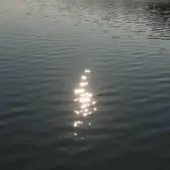 【オフなし】Foot Basic