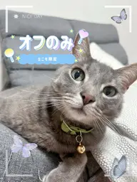 【当店オフ】当店のジェルオフ限定