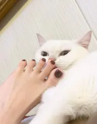 フットワンカラー「初回オフ無料」