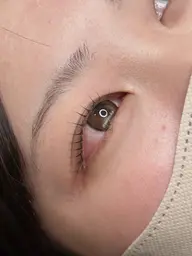 プレミアムラッシュリフトまつげパーマ　【アイシャンプー&コーティング仕上げ付き】