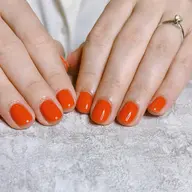 ワンカラーコース🌿ラメ,マグネットもOK ※ offなし様