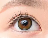 【期間限定40%オフ】マツパ