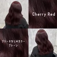 🕊𓈒𓏸︎︎︎︎一日5名さま/平日限定🕊𓈒𓏸︎︎︎︎カット+ケアカラー+超音波クイックTR