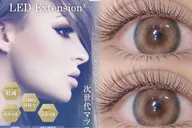 LED無料🌸フラットラッシュ🌸100本