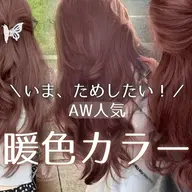 🧚‍♀️リタッチケアブリーチWカラー🧶＋似合わせカット✂️＋1stepスチーム促進・集中補修トリートメント🧡ྀི