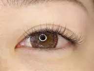 シングルラッシュ80本(付け足し不可)