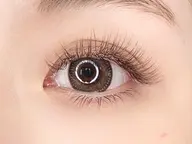 🤎ブラウンフラットラッシュ100本🤎