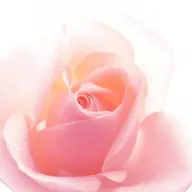 【ご新規様もリピーター様も】VIOオールオフ💗ブラジリアンワックス・女性