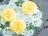 全身もみほぐし【60分】+嗅覚反応分析でストレスチェック