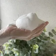 【美肌へ導く】お肌に合ったスキンケアをお伝えします