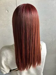 【初回限定】シンプルカラー＋似合わせカット