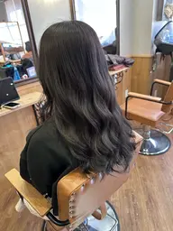 プレミアム艶カラー全体