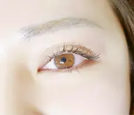 フラットラッシュ120本