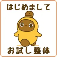 ☆お試し整体体験☆【腰痛/肩こり/首痛】初回限定 お試し整体4980円★1日1名様限定