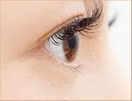 ♥️ダブルフラットラッシュ80束(160本)♥️オフ込み