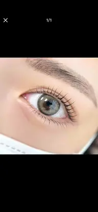 (まつけパーマ)ラッシュリフト上下