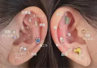 ⭐️リピーター様限定⭐️耳ツボジュエリー💎ライブ、結婚式などイベントに合わせて♪8粒2,000円❗️