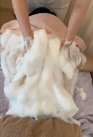 ラテスパ　背中