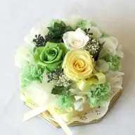 女性VIO脱毛 (脇サービス)🍃ミニモ初回